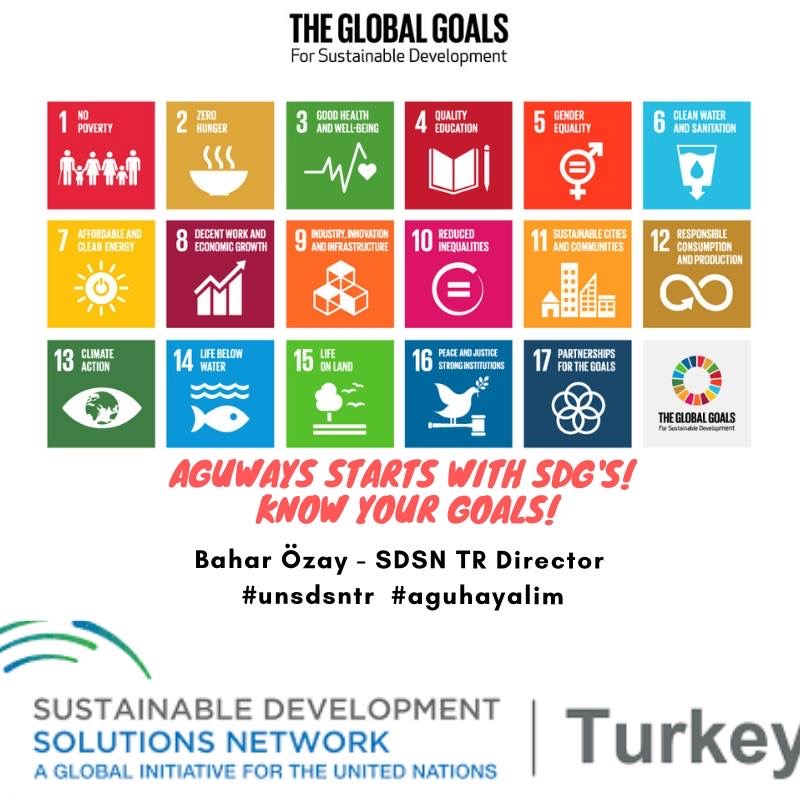 Bahar Ozay, SDSN, Abdullah Gül University, AGU, GLB, Global Challenges course, sustainable development course