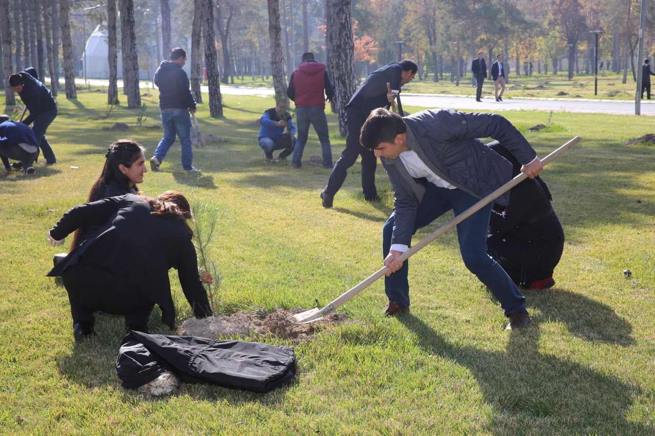 Abdullah Gül University, AGU, 11 Million Trees, With One Sapling Today, Breathe For Tomorrow, Campaign, Carbon emission, reduction SDG 7