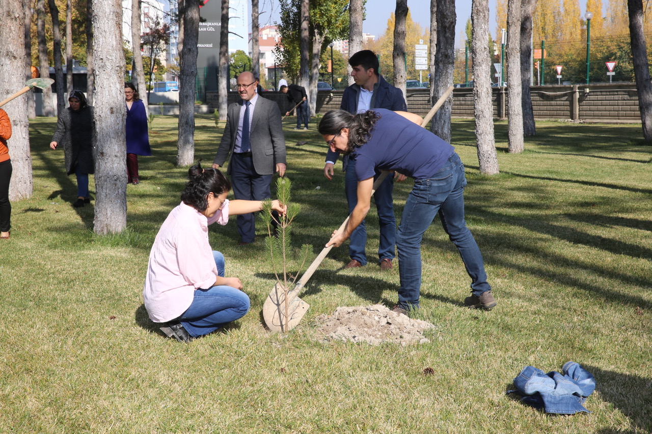 Abdullah Gül University, AGU, 11 Million Trees, With One Sapling Today, Breathe For Tomorrow, Campaign, Carbon emission, reduction SDG 7