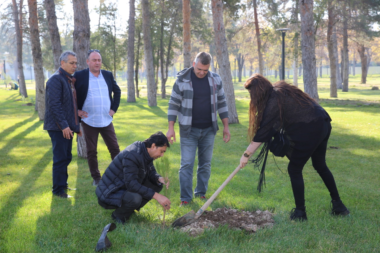 Abdullah Gül University, AGU, 11 Million Trees, With One Sapling Today, Breathe For Tomorrow, Campaign, Carbon emission, reduction SDG 7