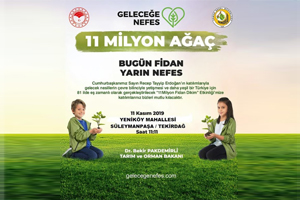 Abdullah Gül University, AGU, 11 Million Trees, With One Sapling Today, Breathe For Tomorrow, Campaign, Carbon emission, reduction SDG 7