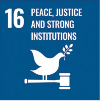 Abdullah Gül University, AGU, SDG, research, SDG 16