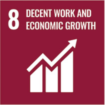 Abdullah Gül University, AGU, SDG, research, SDG 8